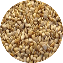 Ethiopian Sesame Seeds